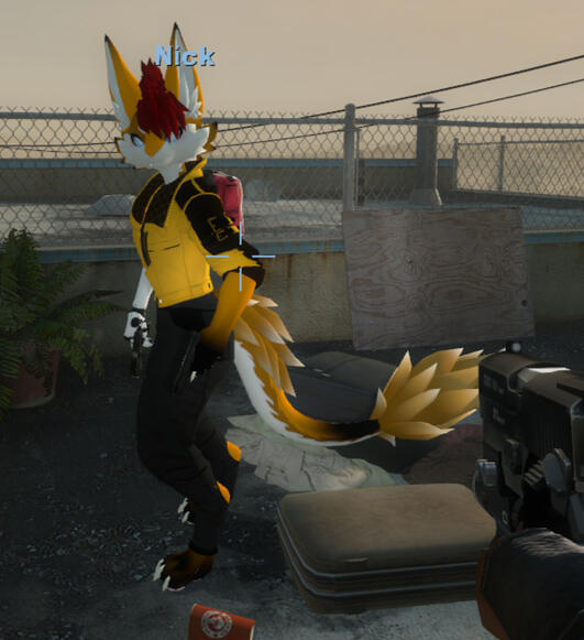 L4D2